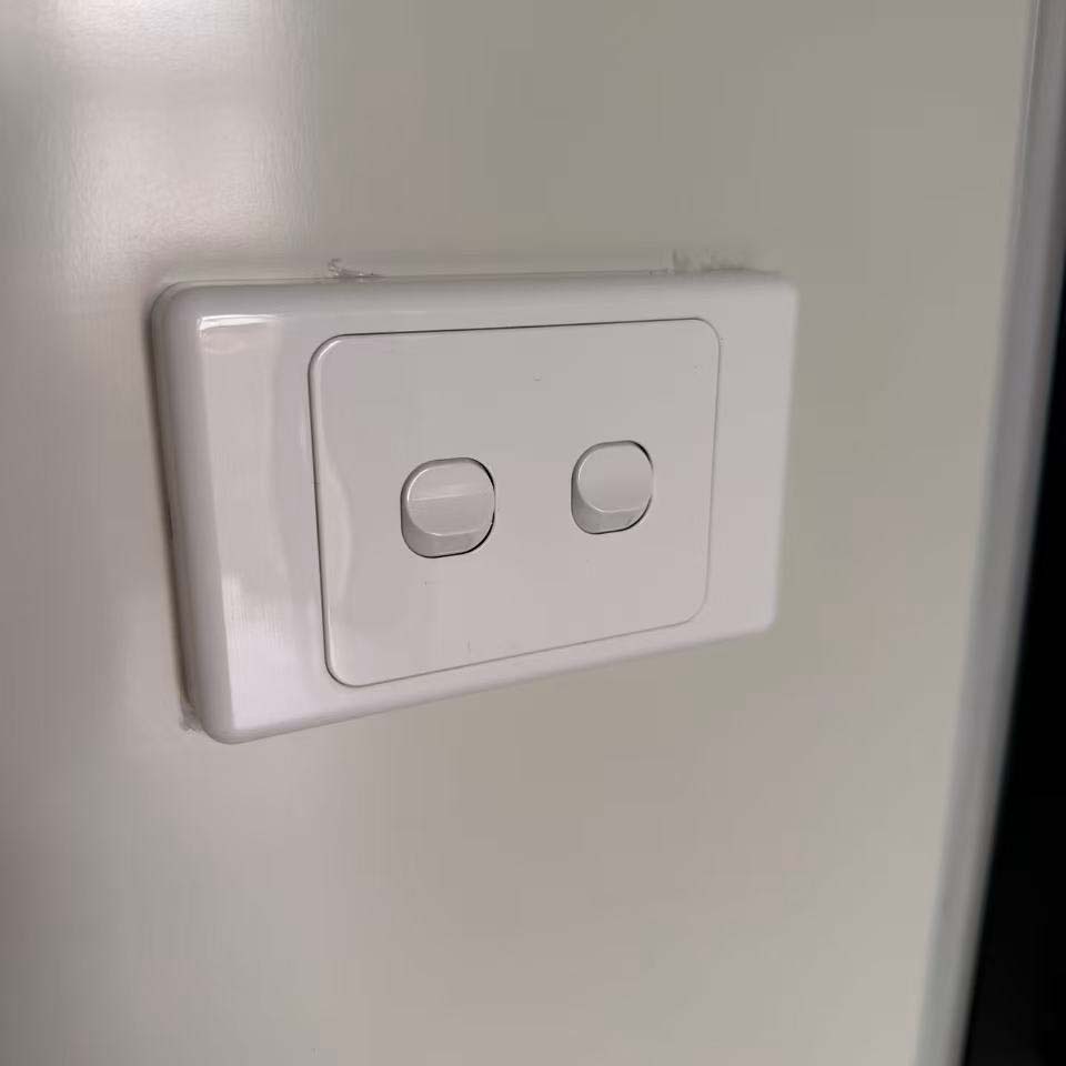 NZ standard switch